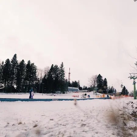 Peak Haven Apartments, Pohorje Apartman