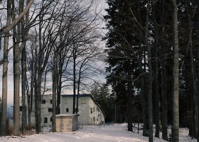 Peak Haven Apartments, Pohorje Lejlighed