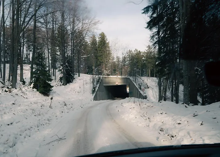 Peak Haven Apartments, Pohorje Apartmán